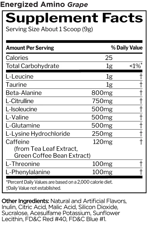 Rule 1 Energized Amino 270 g, Grape thumbnail 2