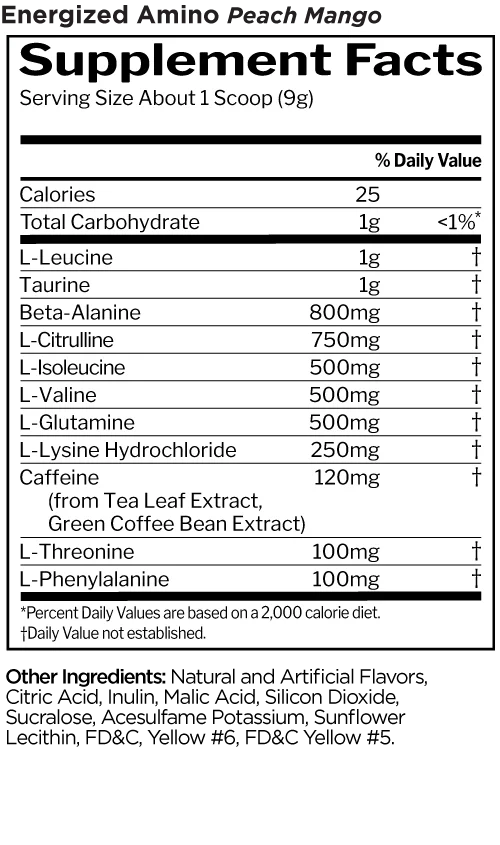 Rule 1 Energized Amino 270 g, Peach Mango thumbnail 2